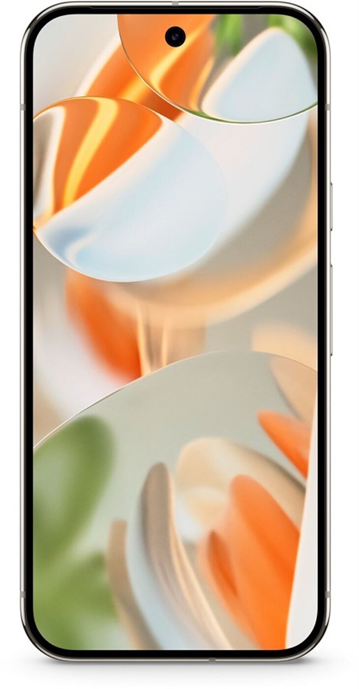 Google Pixel 9 Pro (128GB) porcelain - Enzinger