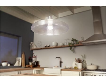 HUE Hue White 15.5W A67 E27