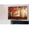 Metz Aurus 55 TY 88 OLED twin