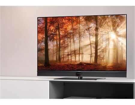 Metz Aurus 55 TY 88 OLED twin