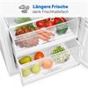 Bomann VS 7345 322ltr. / MultiAirFlow/ 172cm /322Liter