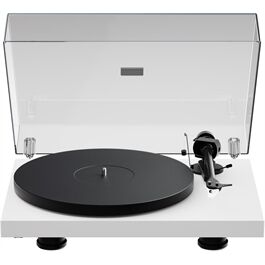 Project Audio Debut Evo 2, Satin Weiß Project Audio Debut Evo 2, Satin Weiß