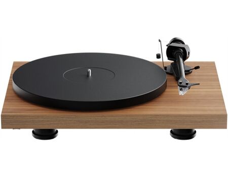 Project Audio Debut Evo 2, Walnuss