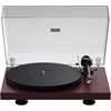 Project Audio Debut Evo 2, Satin Wein-Rot