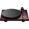 Project Audio Debut Evo 2, Satin Wein-Rot