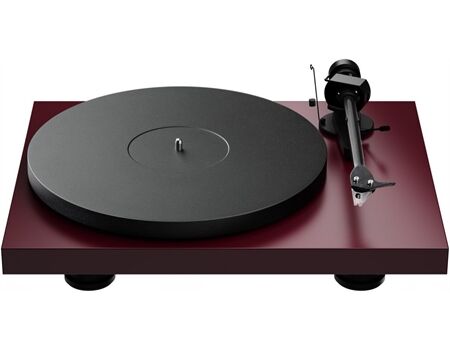 Project Audio Debut Evo 2, Satin Wein-Rot