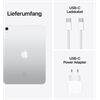 Apple iPad 10.Gen 64GB Silber Wifi inkl. Charger