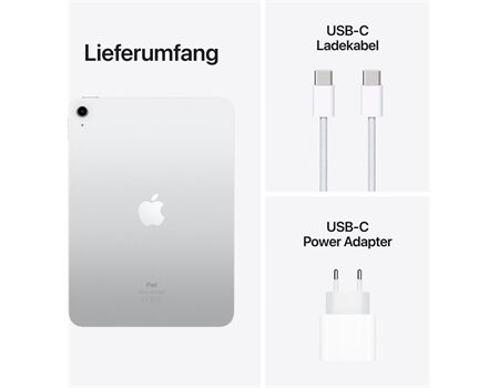 Apple iPad 10.Gen 64GB Silber Wifi inkl. Charger