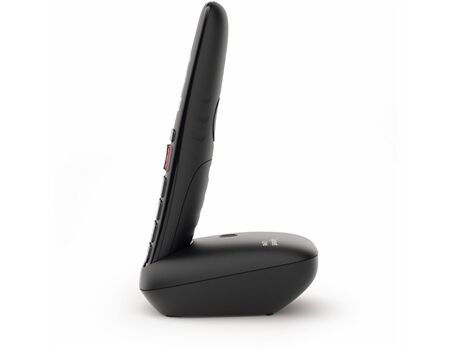 Gigaset E290