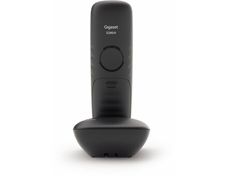 Gigaset E290
