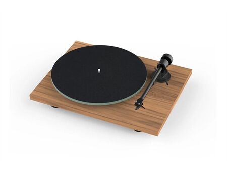 Project Audio T1 Evo BT, Walnuss