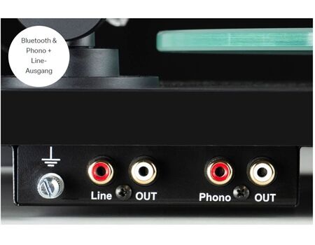 Project Audio T1 Evo BT, Walnuss