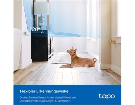 TAPO T100