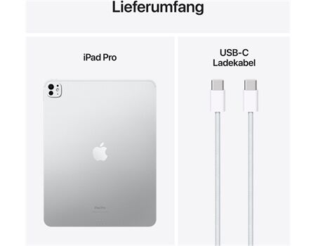Apple iPad Pro 13" M4 256GB Silber Wifi