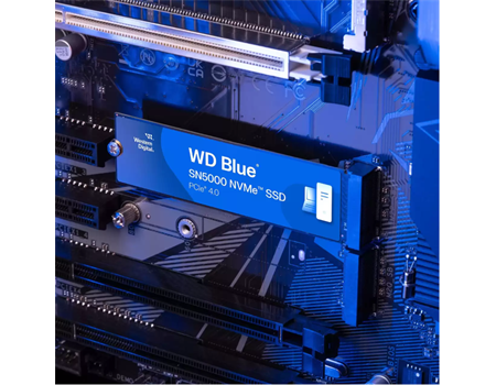 WD Blue SN5000 1TB