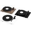 Project Audio T1 Evo BT, Walnuss