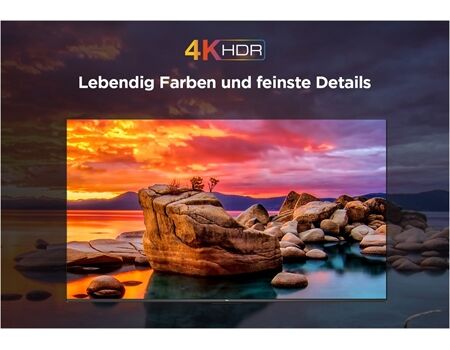 TCL 65 V 6 B