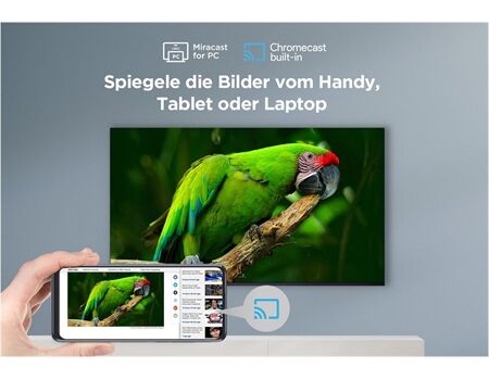 TCL 65 V 6 B