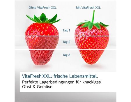 Bosch KGN39EIAF EEK: A CashBack 100€ SelectLine
