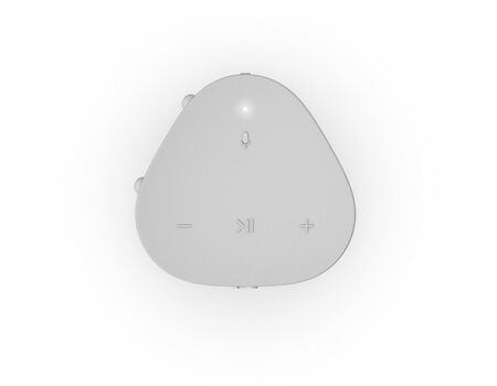Sonos Roam ws