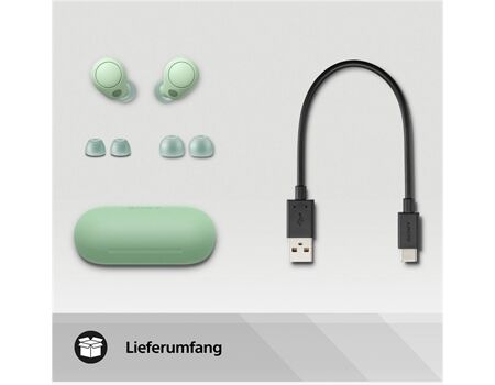 Sony WF-C700NG salbeigrün