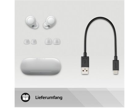 Sony WF-C700NW holunderweiß