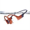 Shokz OpenSwim Pro or
