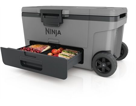 NINJA FrostVault FB265 grau