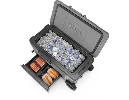 NINJA FrostVault FB265 grau