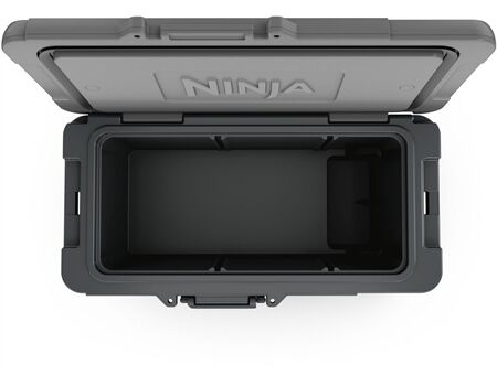 NINJA FrostVault FB265 grau