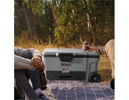 NINJA FrostVault FB265 grau