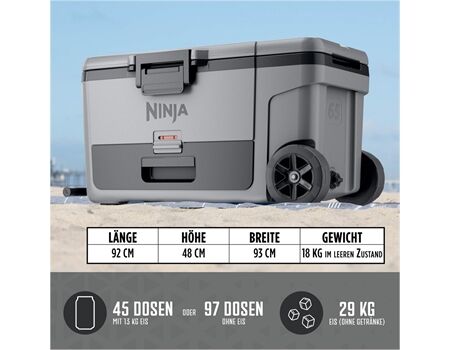 NINJA FrostVault FB265 grau