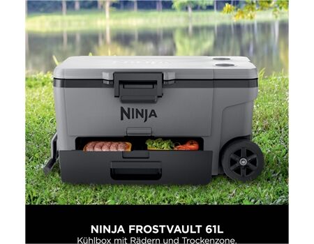 NINJA FrostVault FB265 grau