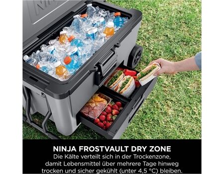 NINJA FrostVault FB265 grau