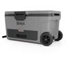 NINJA FrostVault FB265 grau