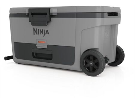 NINJA FrostVault FB265 grau