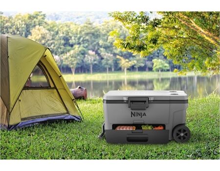 NINJA FrostVault FB265 grau
