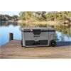 NINJA FrostVault FB265 grau