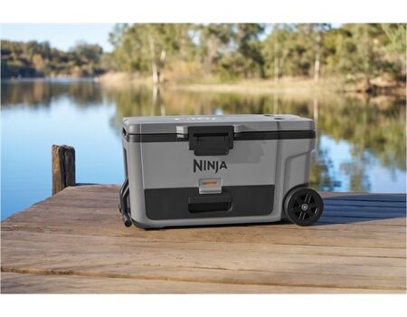 NINJA FrostVault FB265 grau