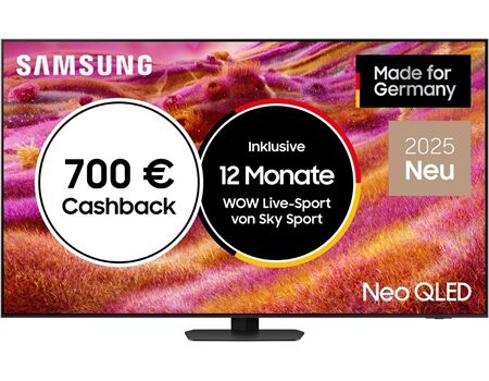 Samsung GQ 85 QN 93 FAT Xklusiv Modell 2025