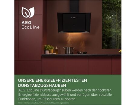 AEG DPS5650AM Flachschirmhaube 60cm ED
