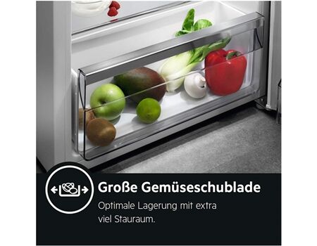 AEG Santo RDB424E1AW / EEK:E