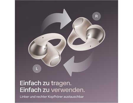 Shokz OpenDots One grau