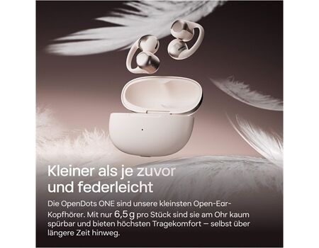 Shokz OpenDots One grau