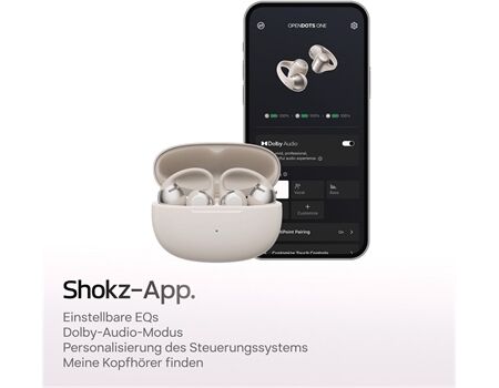 Shokz OpenDots One grau