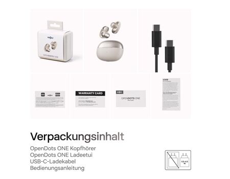 Shokz OpenDots One grau