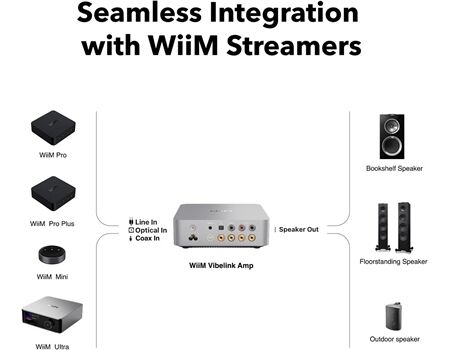 WiiM Vibelink Amp silver