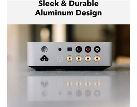 WiiM Vibelink Amp silver