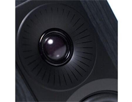 Dali Kupid Black Ash (Paar