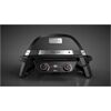 WEBER Pulse 2000